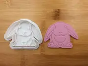 Easter Bunny Cookie Embosser Cartoon Fondant Stamp Mold