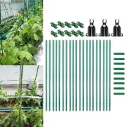 Cucumber Trellis Sturdy for Raised Bed Climbing Plants Cucumber Tomato Grape