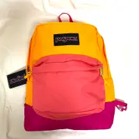 在飛比找蝦皮購物優惠-美國 Jansport backpack 後背包 雙肩包 校