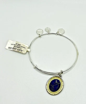 NEW Alex and Ani Astrology Bangle #0038 - CAPRICORN Constellation Charm Bracelet