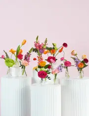 Bud Vase Package