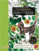 Rainforest ─ Gorgeous Coloring Books With More Than 120 Pull-Out Illustrations to Complete