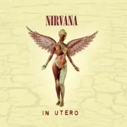 In Utero (20th Anniversary Edition) by Nirvana (CD, 2013)
