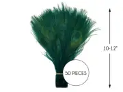 50 Pieces Hunter Green Bleached & Dyed Peacock Tail Eye Wholesale Feathers Bulk
