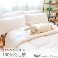 在飛比找momo購物網優惠-【JENNY SILK 蓁妮絲生活館】100%小羽毛被 台灣