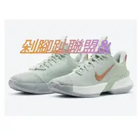 在飛比找蝦皮購物優惠-現貨 NIKE LBJ AMBASSADOR XIII 翡翠