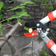 Pruning Telescopic Scissors Tree Ratchet Lopper Pruner Extending Garden Cutter