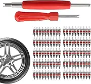 Zunishaone Tyre Valve Trunk Removal Tool Kit, Valve Stem Core Remover, Tyre Repair Tool, Single/2 Head, Tyre Accessories with Remover, Tool Assortment Kit