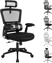 ALFORDSON Mesh Office Chair Swivel Computer Chair with Tilt & Height Adjustment, Ergonomic Executive Office Chair with Built-in Lumbar Support & Tall Backrest, Mesh Fabric Racing Chair(Black)