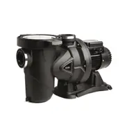 Dab Pool Pump With 2 Year Warranty