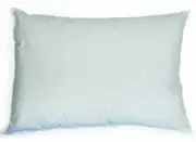McKesson Bed Pillow 12 X 17 Inch White Disposable, Case of 24