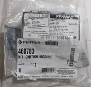 Pentair 460783 Ignition Module Kit For Mastertemps