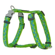 Dog Harness by Red Dingo Style Turquoise Star Green 4676 Cm