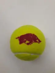 College University Logo Tennis Ball Brand New Arkansas Razorback Changed