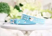 NEW 2 Piece Set Robin Egg Blue Dog Collar & Leash Set Crystal Heart Tiffani Blue