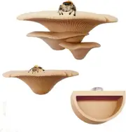 2 Pack Jumping Spider Enclosure Mushroom Ledges & 1 Pack Water Bowl with Magnets