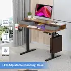 Electric Standing Desk LED Computer Sit Stand Up Table Height Adjustable Light