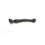 Wasp Control Arm - WBJ13573