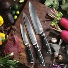 Chef Knife Set Japanese Damascus Steel VG10 Core G10 Handle Slicing Utility Cut
