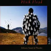 Delicate Sound Of Thunder (Live) (2016 Reissue)