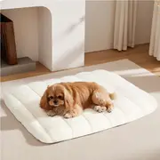 Pawz Pet Bed Dog Orthopedic Sofa Egg Foam Mattress Mat Washable Waterproof M