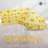在飛比找蝦皮購物優惠-台灣製 荷康 丰荷 醫療級口罩30入 兒童 母子口罩 口罩 