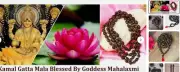 Religious Lotus Seed Original Kamal Gatta Japa Mala 108 Beads Prayer Hindu Laxmi