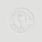 Strathmore 500 Series Vellum Surface Bristol Sheet, 23 x 29 Inches, Pack of 20
