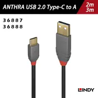 在飛比找蝦皮商城優惠-LINDY林帝 ANTHRA USB 2.0 Type-C/