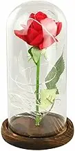 Beauty And The Beast Enchanted Rose In Glass Dome LED Light USB Lamp Decor Gift