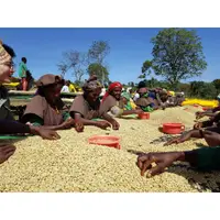 在飛比找蝦皮購物優惠-熊團長系列：衣索比亞 古奇產區 凱永山農場 水洗/日曬 果香