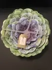 Rachel Ashwell Succulent Stacking Bowls Set of 4 Nesting Scalloped Green Multi