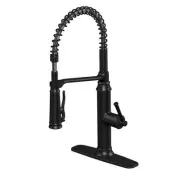 Linscott Single Handle Coil Spring Neck Pull Down Sprayer Kitchen Faucet in
