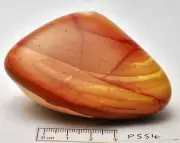 MOOKAITE POLISHED FREEFORM, Fossil Radiolarian, Australia (P554)
