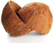 Coconut Shell Halves Natural Half Shell (Case pack 2) Coconut Natural