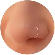 [Ldurian] 316L Surgical Stainless Steel Hypoallergenic Hinged Nose Ring Hoop 18/20 Gauge, Diameter 6mm, 7mm, 8mm, 9mm with Silver/Gold/Rose Gold Nose Piercing Jewelry Hoop for Women/Men with Retainer