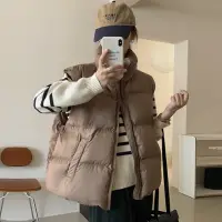 在飛比找momo購物網優惠-【D.studio】韓版立領寬鬆短版羽絨外套(羽絨背心 背心