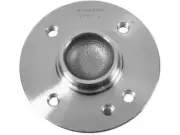 Wheel Hub Assembly For 02-06 Mini Cooper PH91S1 Wheel Bearing Hub Assembly (for: Mini)