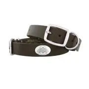 Ohio State Buckeyes Brown Leather Concho Dog Collar, Medium