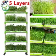 5 Layers Seed Sprouter Pot Trays Soilless Bean Hydroponic Plates Planting Tool