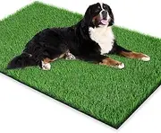 GLOBREEN Pet Friendly Artificial Grass for Dogs to Pee, Whelping, Puppy Potty Training, Fake Turf Grass Mat for Patio, Indoor Outdoor, High Drainage, 59.1" x 31.5"