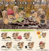 在飛比找Yahoo!奇摩拍賣優惠-【動漫瘋】 日本正版 代理 扭蛋 轉蛋 松鼠物語 奇奇帝帝 