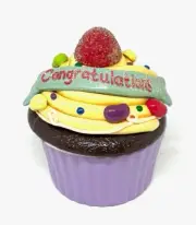 Special Celebrations Cupcake Trinket Box 4 inches