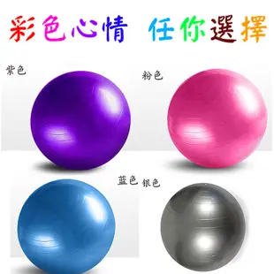 瑜珈球 直徑65cm 瑜珈韻律球 (5.1折)