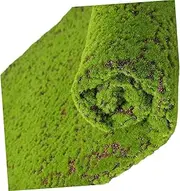 CIYODO Realistic Artificial Turf Moss Decor Micro Landscape Accessory Fake Lawn Mat for DIY Gardening Bonsai and Fish Tank Decor