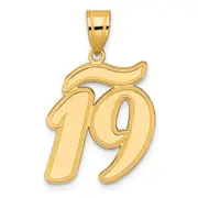 14k Yellow Gold Brushed Border Script Number 19 Pendant