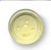 8 oz GRAPESEED OIL | Organic Refined 100% Pure Cold Pressed (FREE Shipping)