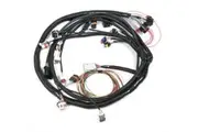 Holley Universal MPFI Main Harness Suit HP & Dominator EFI 558-104