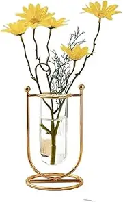 [BNNP] Vases for Centerpieces Nordic Simple Home Hydroponic Plant Transparent Vase Metal Vases Glass Table Decoration Accessories Flower Vase Living Room Decor Gifts Home Decor Vase (Color : Combination D)