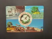 RETRO AUSTRALIAN POSTCARD- St GEORGE, QLD COTTON COUNTRY